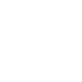 Logo Pszczółek Politechniki